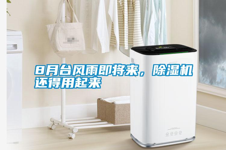 8月臺風雨即將來，除濕機還得用起來