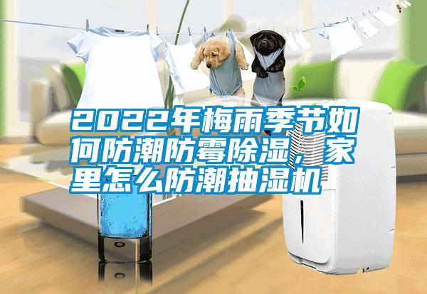 2022年梅雨季節如何防潮防霉除濕，家里怎么防潮抽濕機