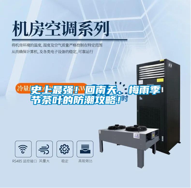 史上最強！回南天、梅雨季節茶葉的防潮攻略！