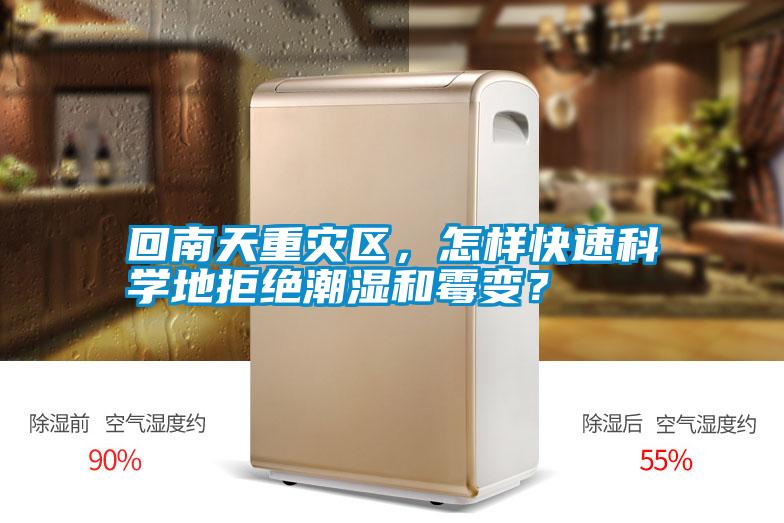 回南天重災區,怎樣快速科學地拒絕潮濕和霉變?
