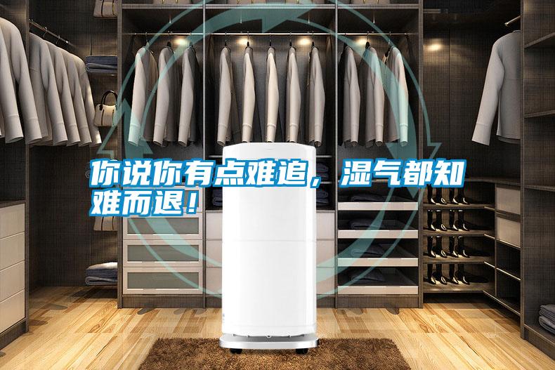 你說你有點難追，濕氣都知難而退！