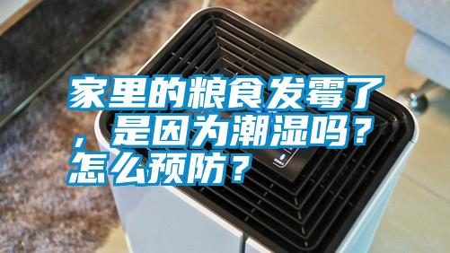 家里的糧食發霉了，是因為潮濕嗎？怎么預防？