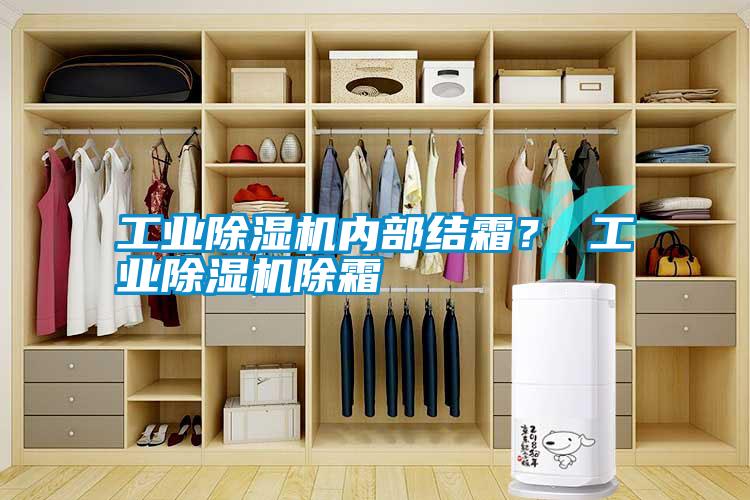 工業(yè)除濕機內(nèi)部結霜? 工業(yè)除濕機除霜