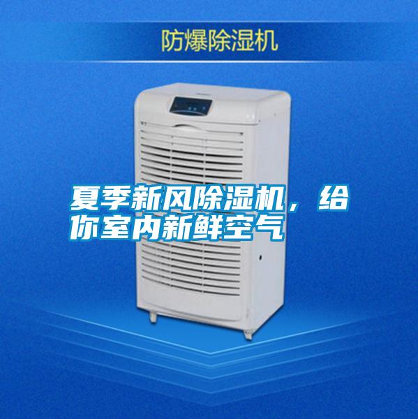 夏季新風除濕機,給你室內新鮮空氣