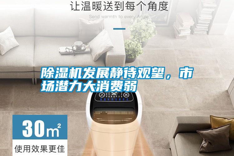 除濕機發展靜待觀望，市場潛力大消費弱