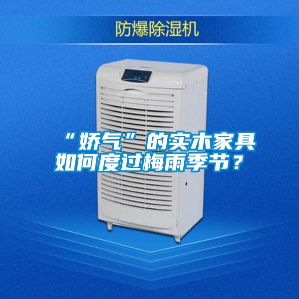 “嬌氣”的實(shí)木家具如何度過梅雨季節(jié)？