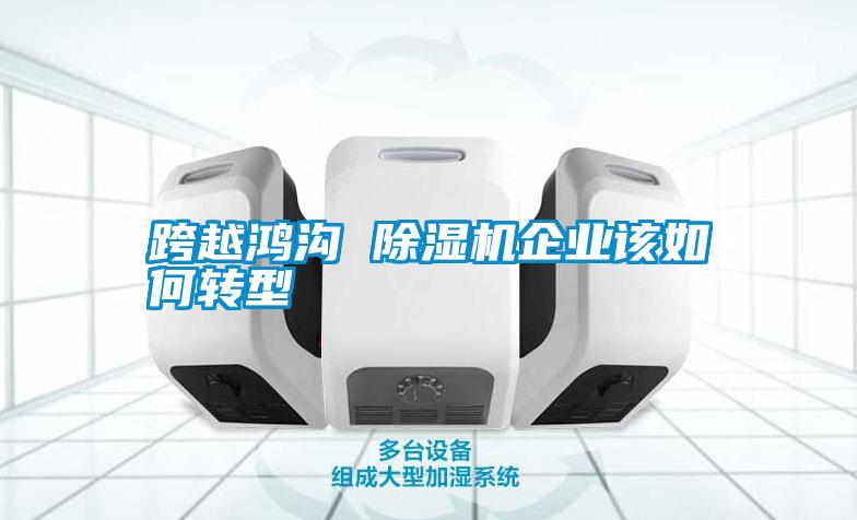 跨越鴻溝 除濕機企業(yè)該如何轉型