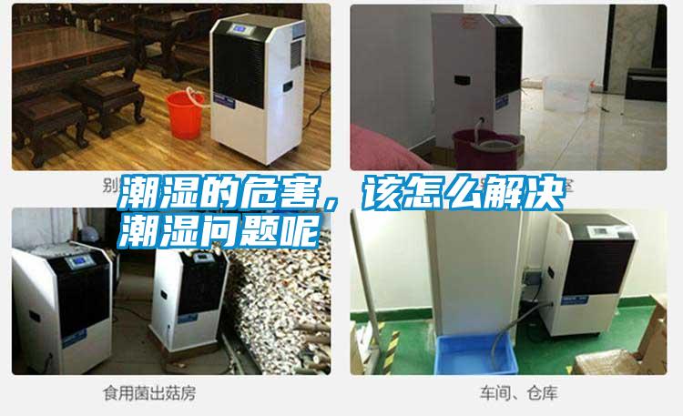 潮濕的危害，該怎么解決潮濕問(wèn)題呢