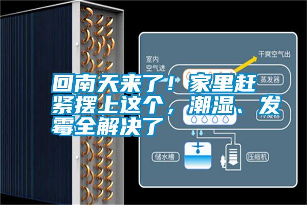 回南天來了！家里趕緊擺上這個，潮濕、發霉全解決了
