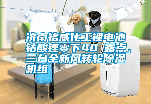 濟(jì)南銘威化工鋰電池鈷酸鋰零下40℃露點(diǎn)，三臺(tái)全新風(fēng)轉(zhuǎn)輪除濕機(jī)組