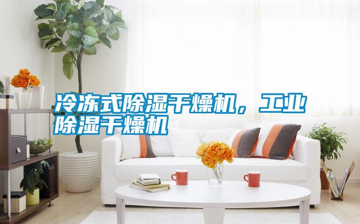 冷凍式除濕干燥機，工業除濕干燥機