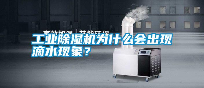 工業(yè)除濕機為什么會出現滴水現象?