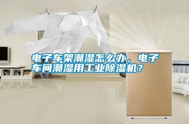 電子車架潮濕怎么辦，電子車間潮濕用工業(yè)除濕機？