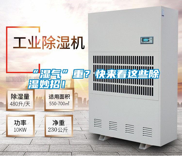 “濕氣”重？快來(lái)看這些除濕妙招！