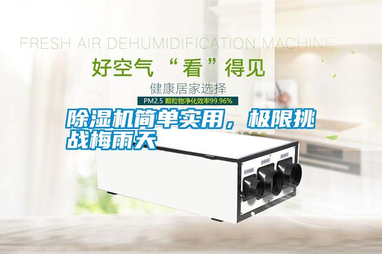 除濕機簡單實用,極限挑戰梅雨天