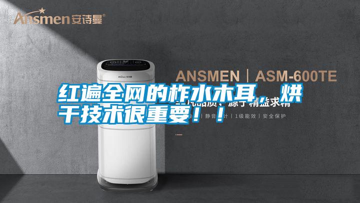 紅遍全網的柞水木耳，烘干技術很重要??！