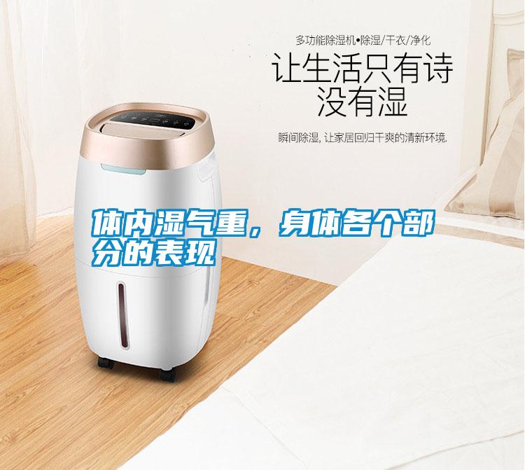 體內濕氣重，身體各個部分的表現