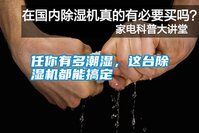 任你有多潮濕，這臺除濕機都能搞定