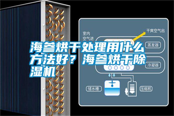 海參烘干處理用什么方法好？海參烘干除濕機