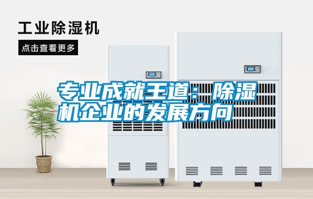 專業成就王道:除濕機企業的發展方向