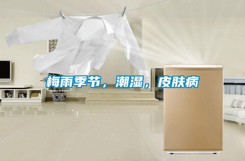 梅雨季節，潮濕，皮膚病