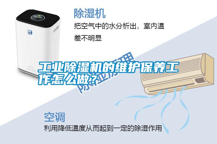 工業除濕機的維護保養工作怎么做?