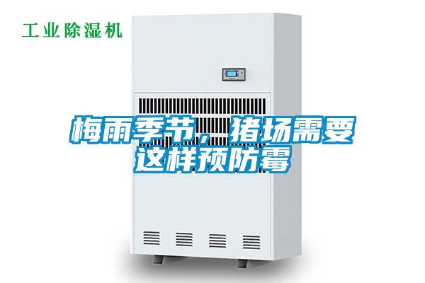 梅雨季節，豬場需要這樣預防霉