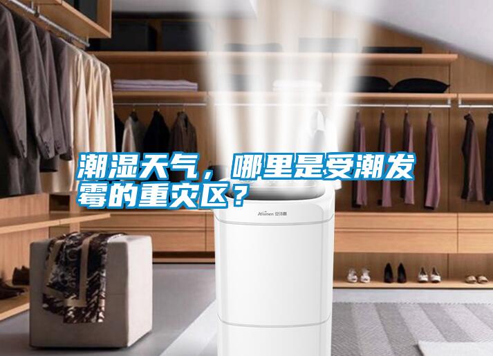 潮濕天氣，哪里是受潮發霉的重災區？