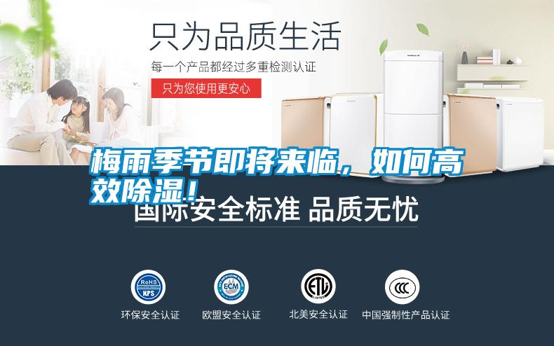 梅雨季節即將來臨,如何高效除濕!