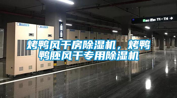 烤鴨風(fēng)干房除濕機(jī)，烤鴨鴨胚風(fēng)干專用除濕機(jī)