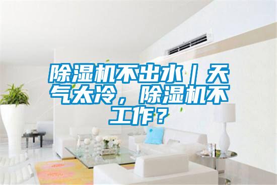 除濕機不出水|天氣太冷,除濕機不工作?
