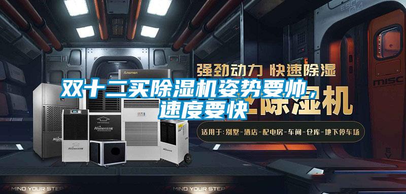 雙十二買除濕機姿勢要帥, 速度要快