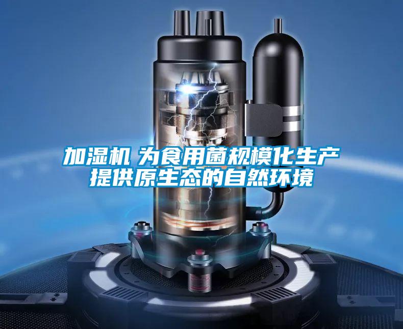 加濕機　為食用菌規模化生產提供原生態的自然環境