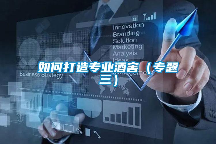 如何打造專業酒窖(專題三)