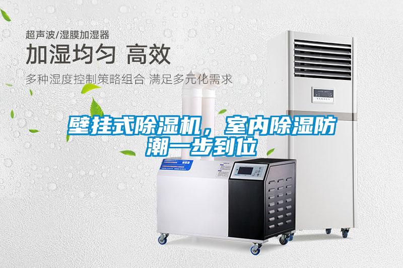 壁掛式除濕機(jī),室內(nèi)除濕防潮一步到位