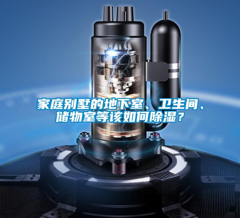 家庭別墅的地下室、衛(wèi)生間、儲物室等該如何除濕？