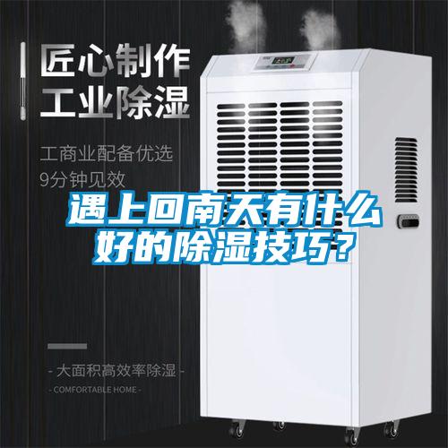 遇上回南天有什么好的除濕技巧？