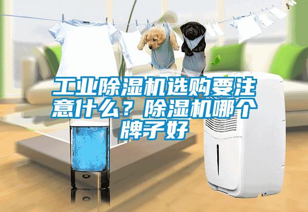 工業(yè)除濕機選購要注意什么？除濕機哪個牌子好