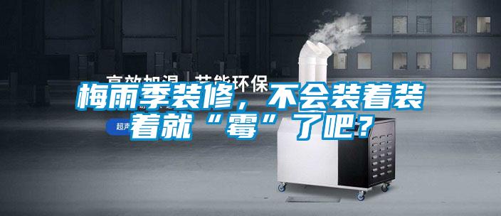 梅雨季裝修，不會裝著裝著就“霉”了吧？