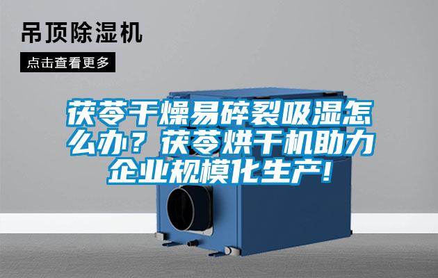 茯苓干燥易碎裂吸濕怎么辦？茯苓烘干機助力企業規?；a!