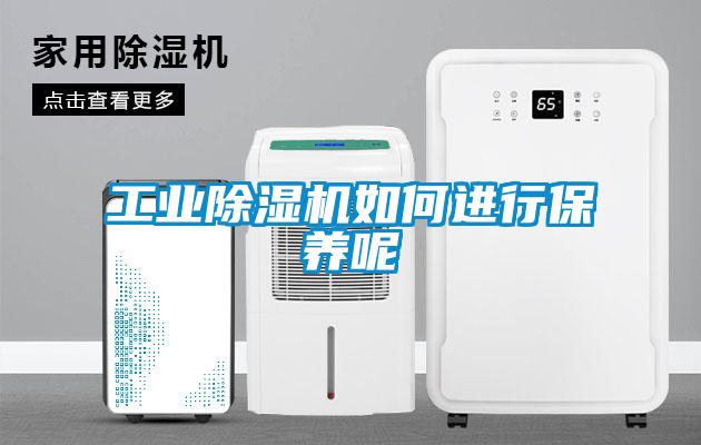 工業除濕機如何進行保養呢