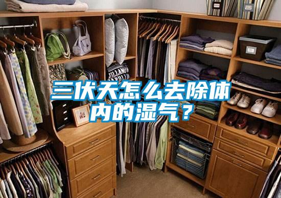 三伏天怎么去除體內的濕氣？