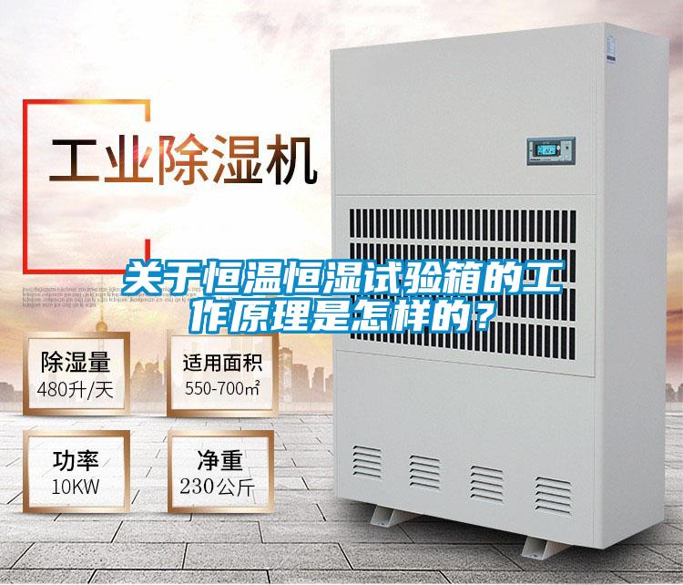 關于恒溫恒濕試驗箱的工作原理是怎樣的？