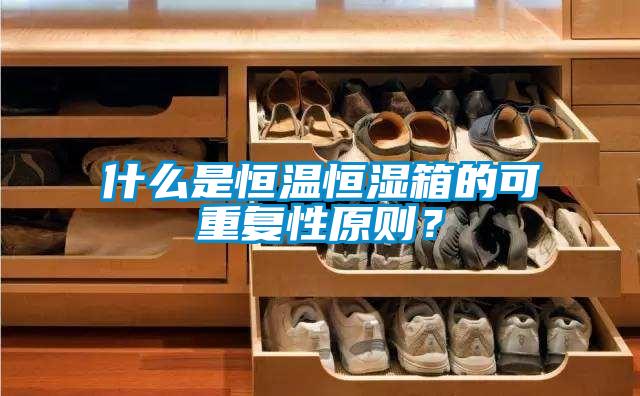 什么是恒溫恒濕箱的可重復性原則？