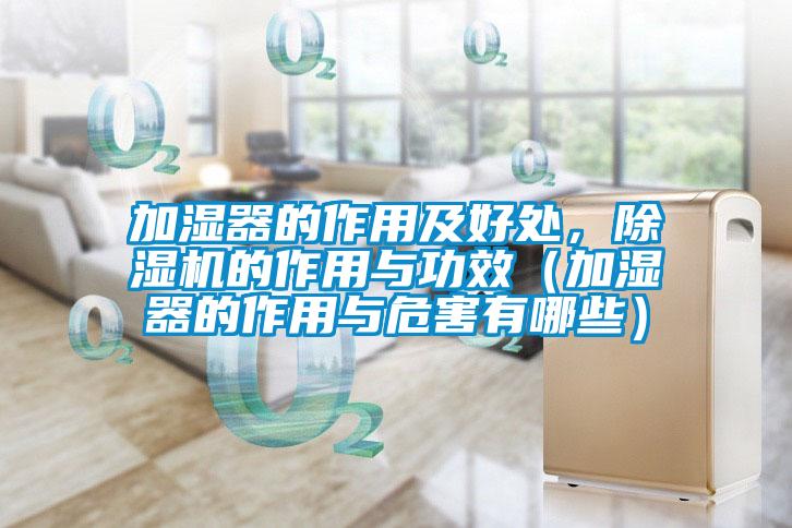 加濕器的作用及好處,除濕機的作用與功效(加濕器的作用與危害有哪些)