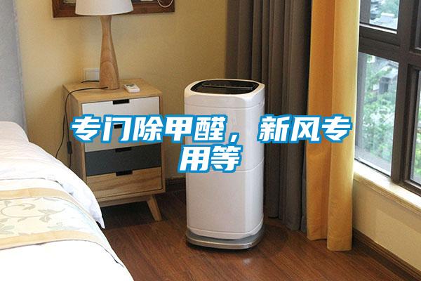 專門除甲醛，新風專用等