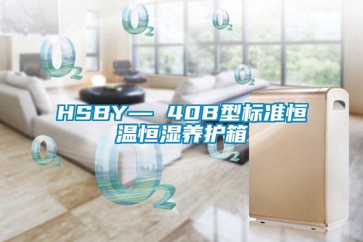 HSBY— 40B型標準恒溫恒濕養護箱
