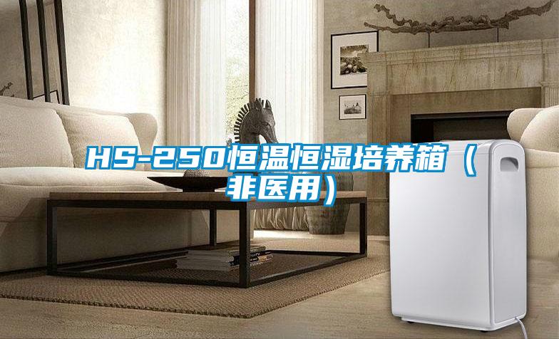 HS-250恒溫恒濕培養箱(非醫用)
