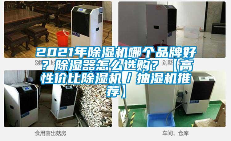 2021年除濕機哪個品牌好？除濕器怎么選購？【高性價比除濕機／抽濕機推薦】