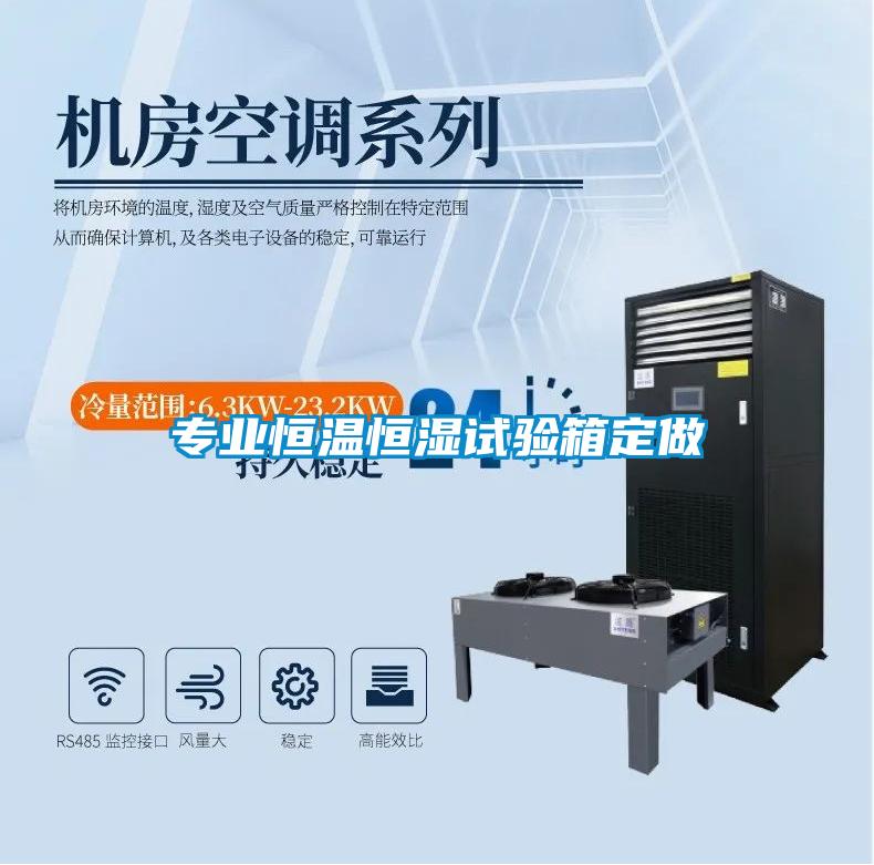 專業恒溫恒濕試驗箱定做